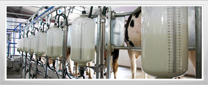 Dairy Farm Agriculture Training Program
