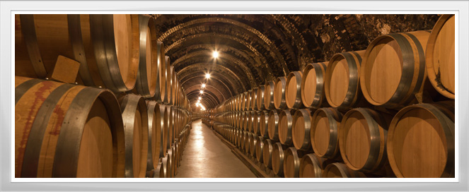 Wine Cellar Enology Training Program